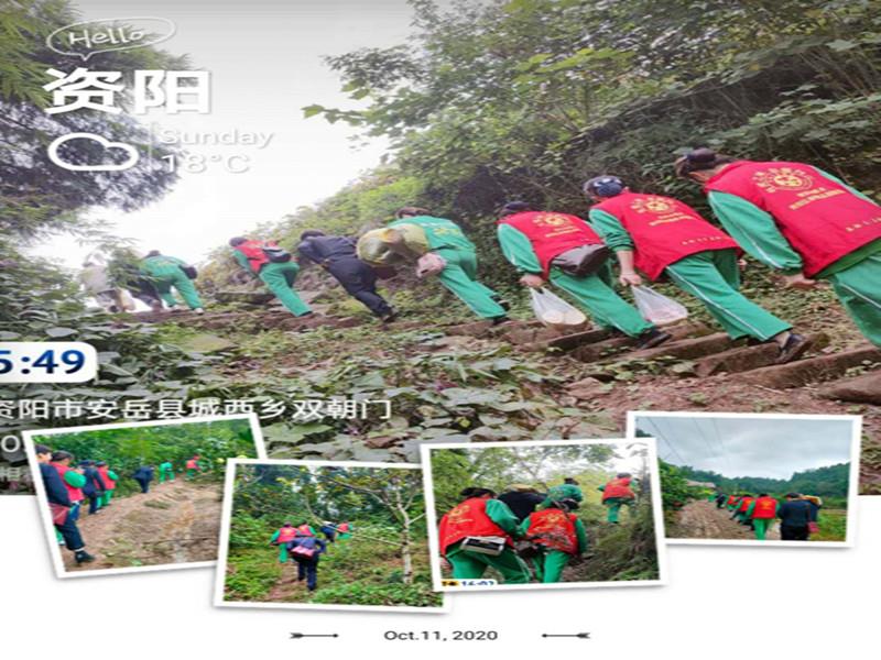 信泰志愿服務隊，有你們在，他們不孤單！